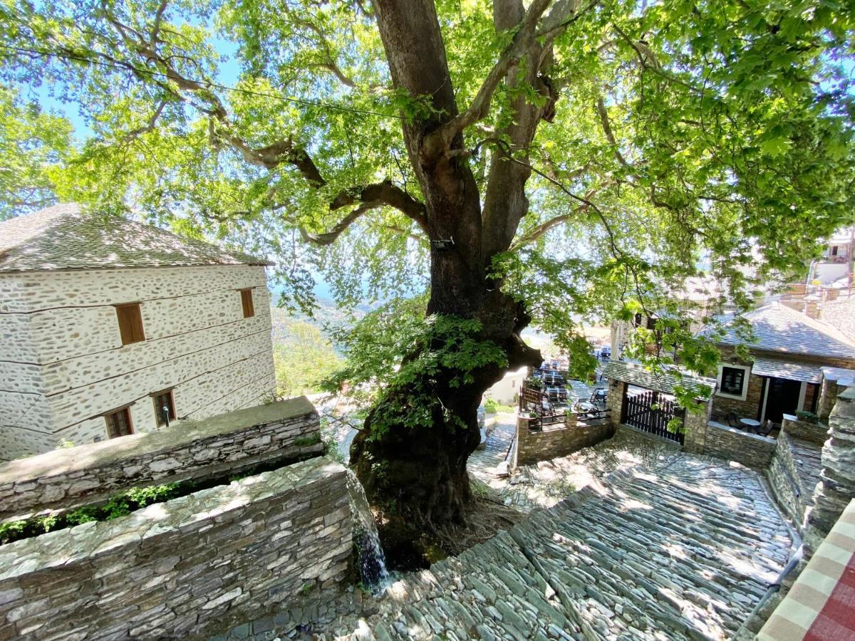 Archontika Karamarlis Hotel Makrinitsa Exterior photo
