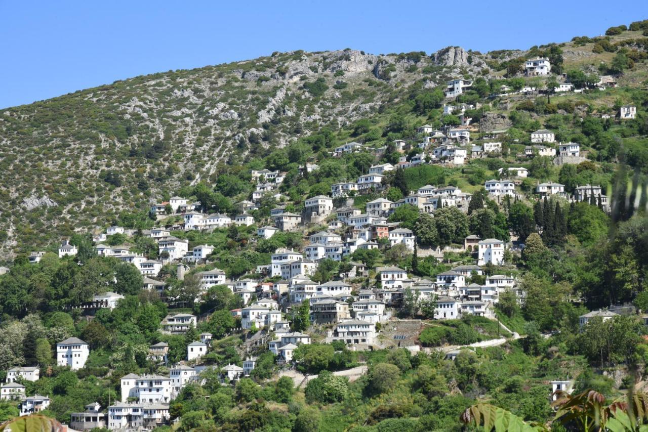 Archontika Karamarlis Hotel Makrinitsa Exterior photo